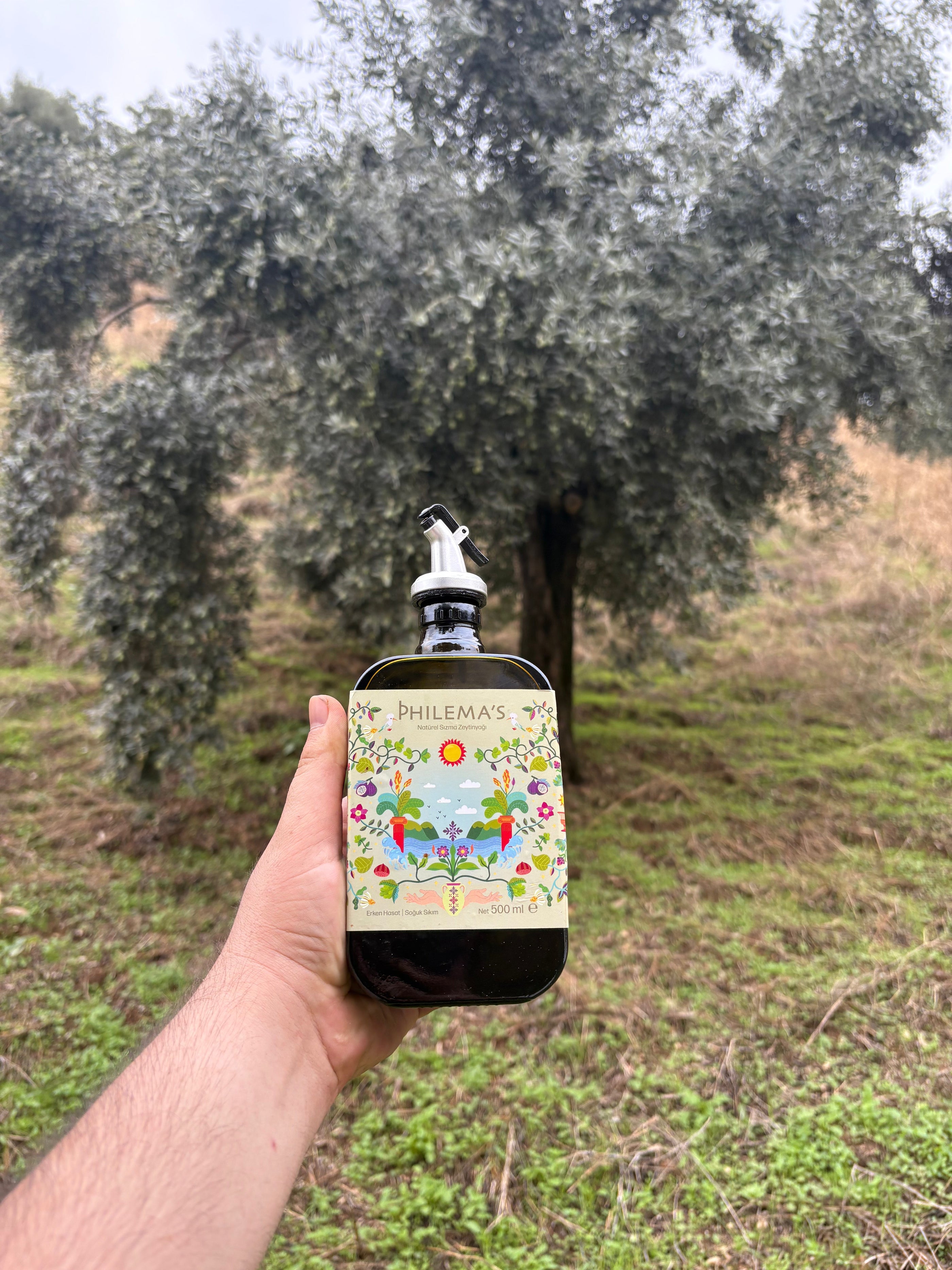 Dalından Sofraya Zeytinyağı: Philemas Hasat 2025